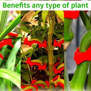 Low Stress Training Clips 30 Clips for $15